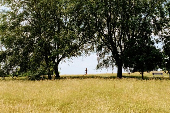 Hidden Gems – Our favourite things to see in the area - Martyn Gerrard