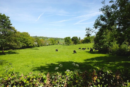 Hidden Gems – is there something about the area no one really knows about? - Martyn Gerrard